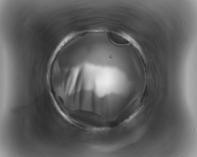 X0000086771429200704271741