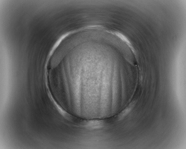 X0000086771430200704271741