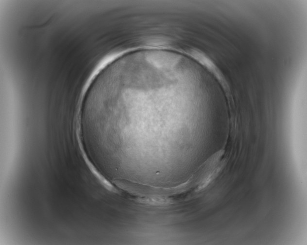 X0000086771432200704271741