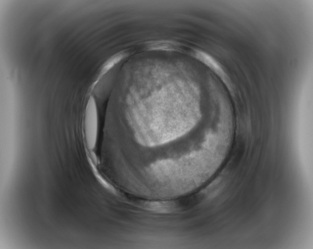 X0000086771433200704271741