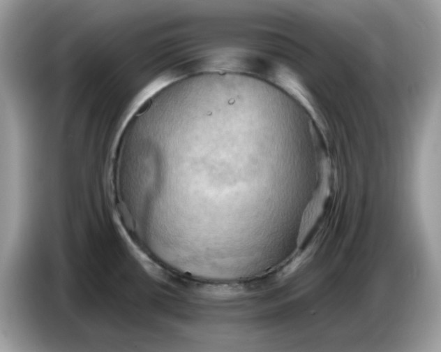 X0000086771434200704271741