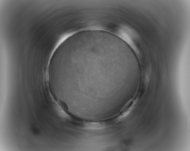 X0000086771436200704271741
