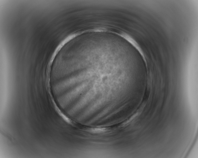 X0000086771437200704271741
