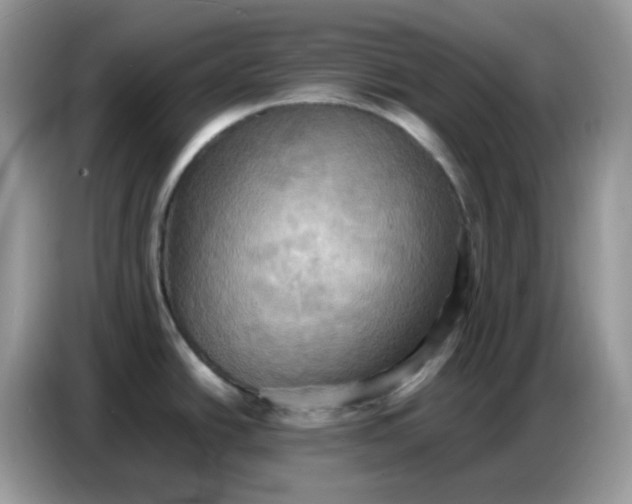 X0000086771438200704271741