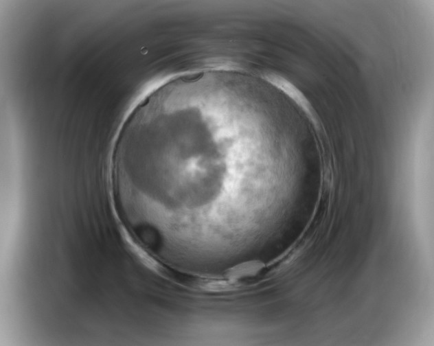 X0000086771439200704271741