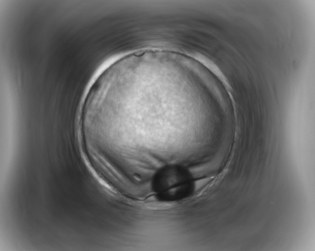 X0000086771440200704271741
