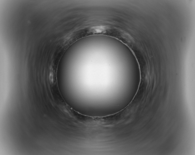 X0000086771442200704271741