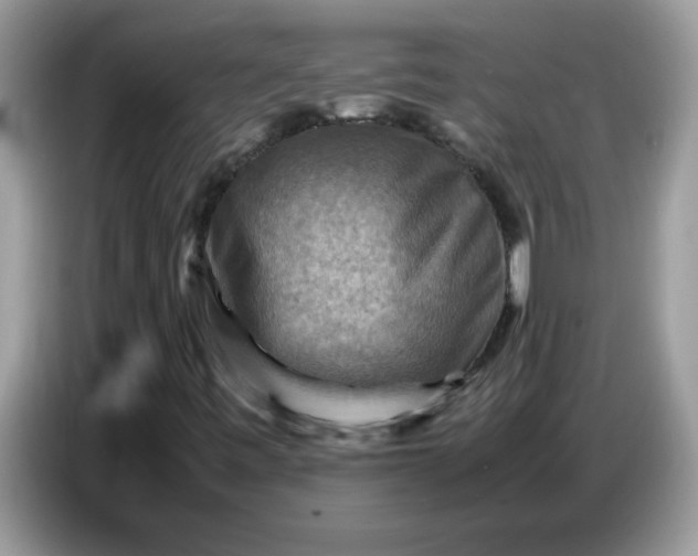 X0000086771443200704271741