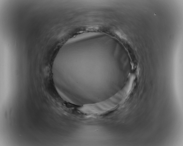 X0000086771445200704271741