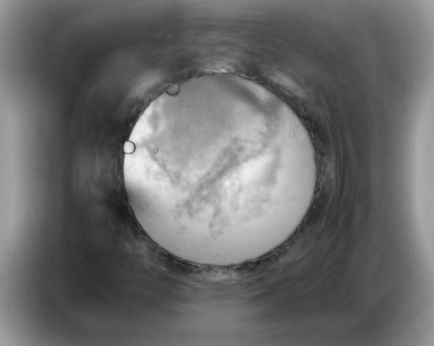 X0000086771446200704271741