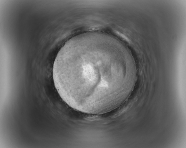 X0000086771447200704271741