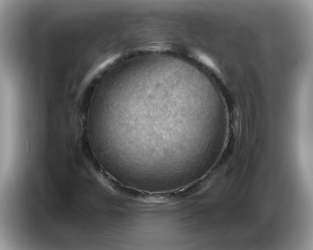 X0000086771448200704271740