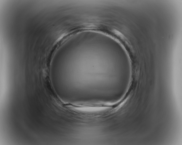 X0000086771449200704271740