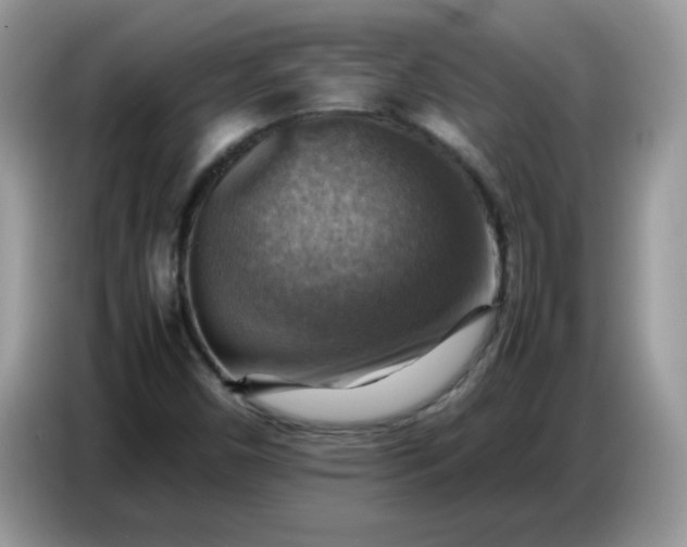 X0000086771450200704271740