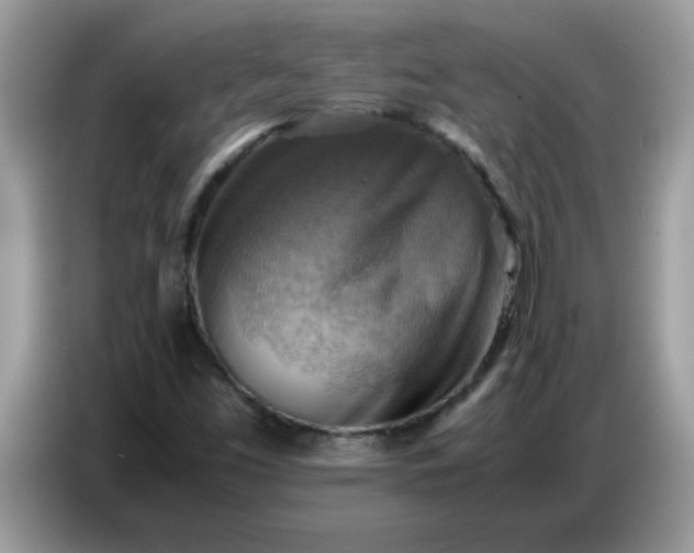 X0000086771453200704271740