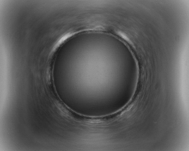 X0000086771455200704271740