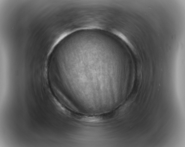 X0000086771460200704271740