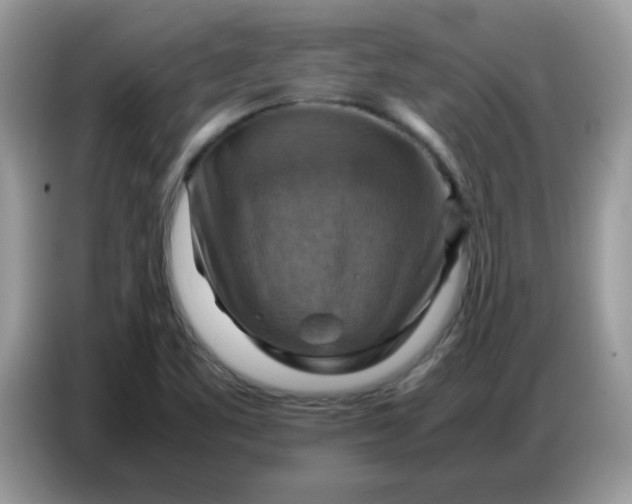 X0000086771461200704271740