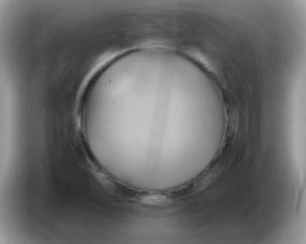 X0000086771462200704271740