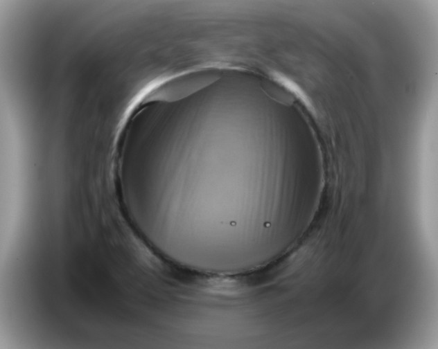 X0000086771463200704271740