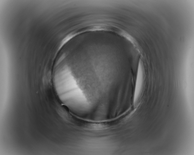 X0000086771465200704271740
