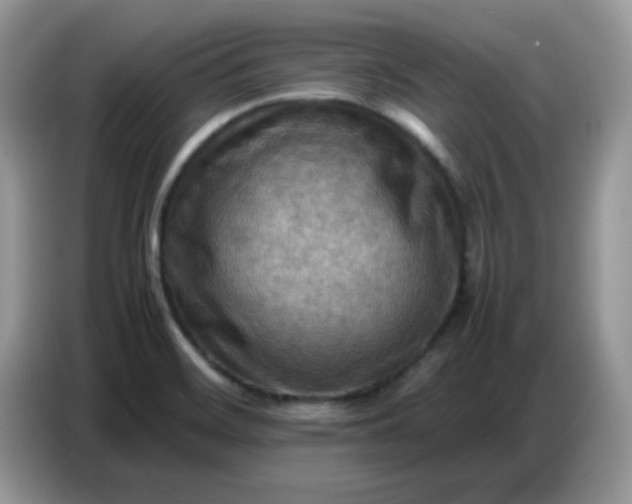 X0000086771468200704271740