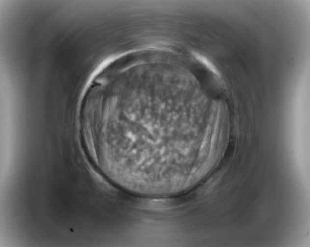 X0000086771471200704271740