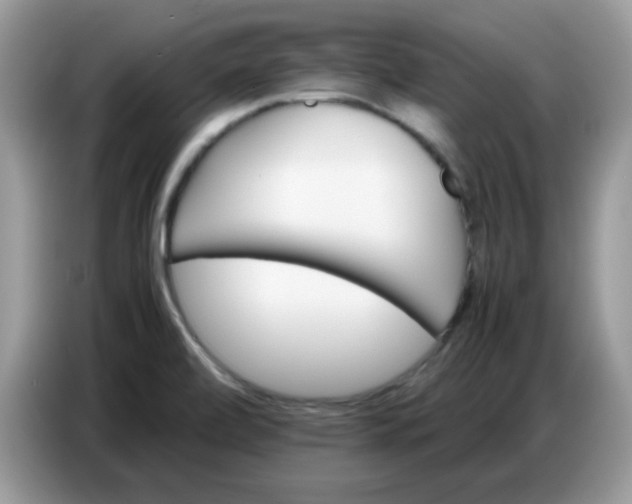 X0000086771472200704271740