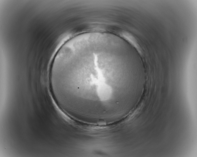 X0000086771475200704271740