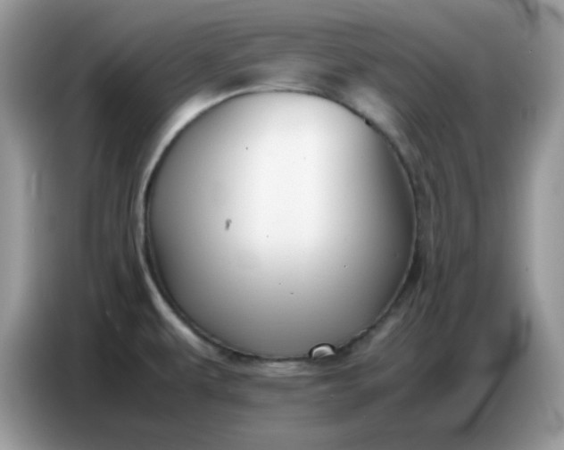 X0000086771479200704271740