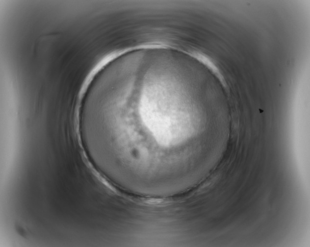 X0000086771480200704271740