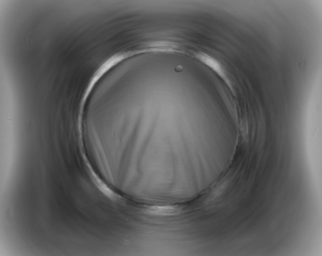 X0000086771482200704271740