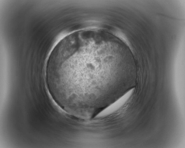 X0000086771483200704271740