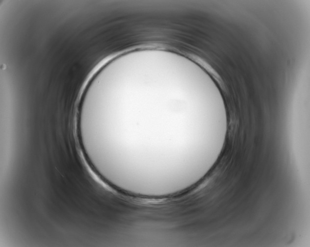 X0000086771484200704271740