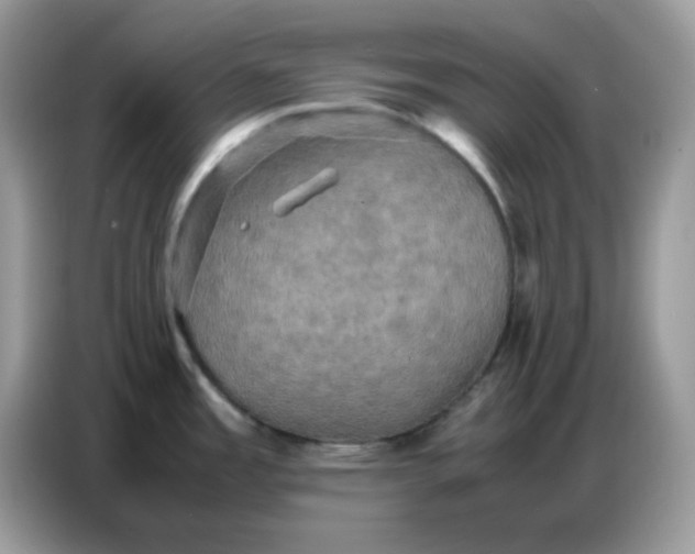 X0000086771485200704271740