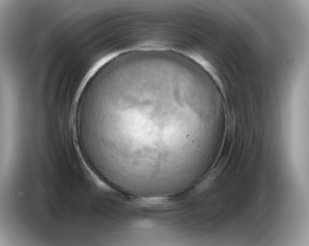 X0000086771486200704271740