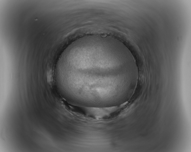 X0000086771490200704271739