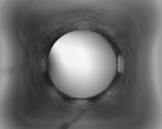 X0000086771491200704271739