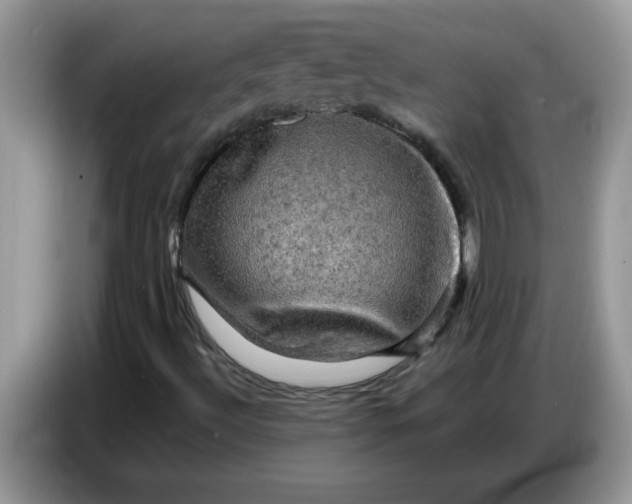X0000086771492200704271739