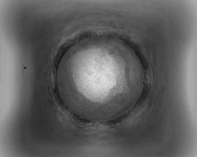 X0000086771493200704271739