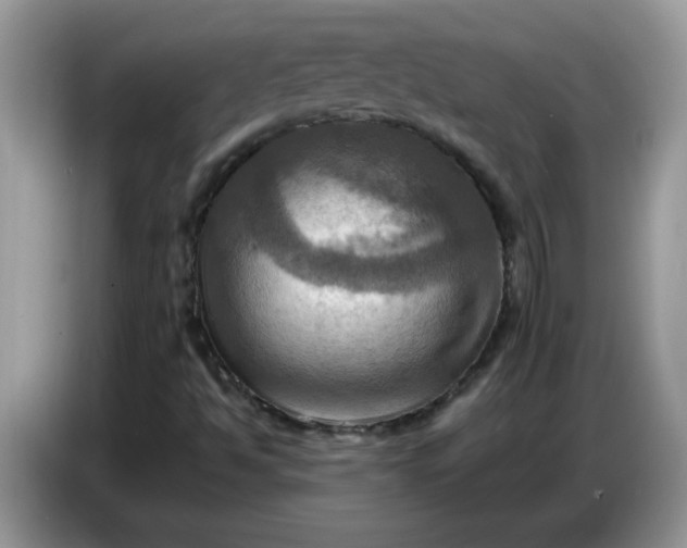 X0000086771494200704271739