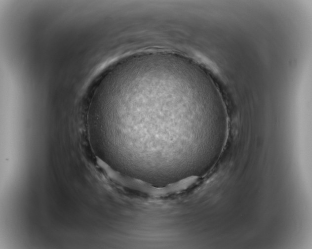 X0000086771496200704271739