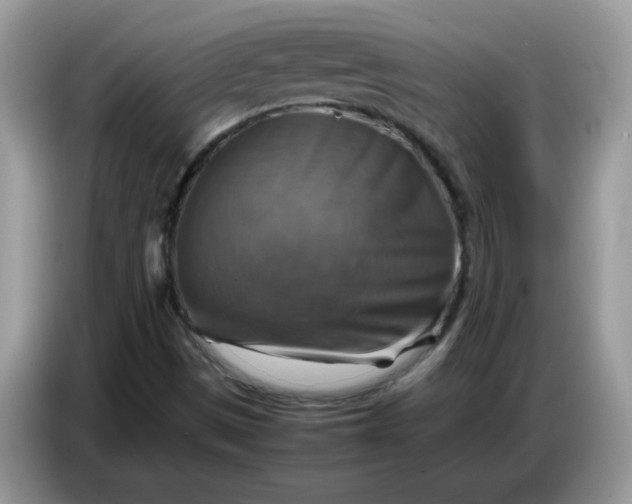 X0000086771497200704271739