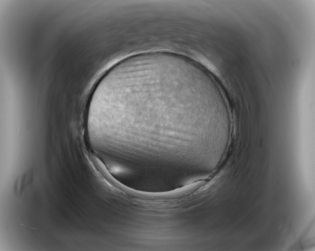 X0000086771500200704271740
