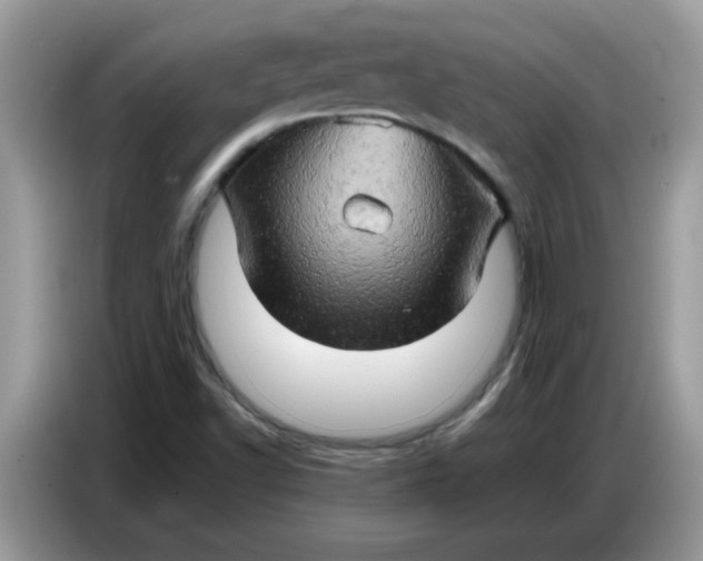 X0000086771502200704271740