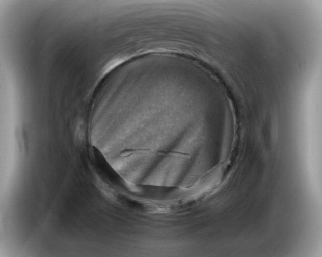 X0000086771505200704271740