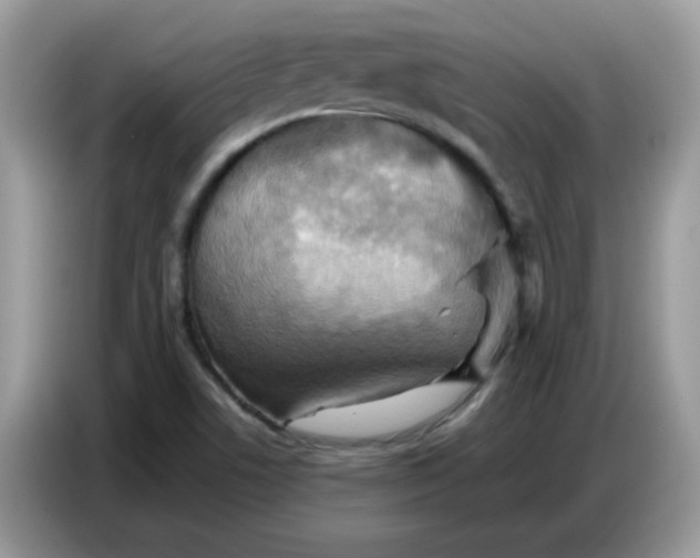 X0000086771506200704271740