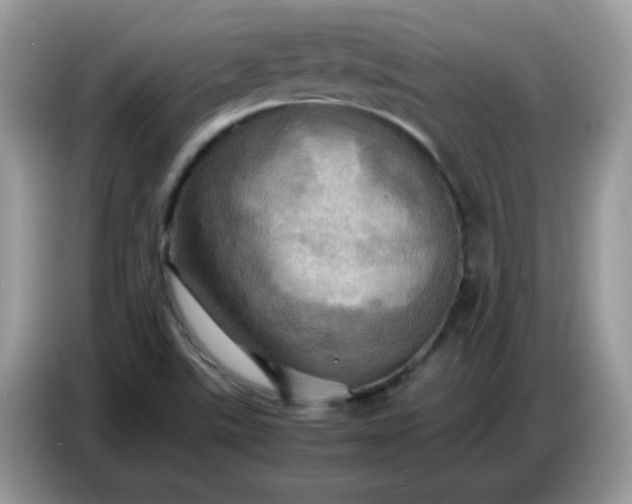 X0000086771507200704271740