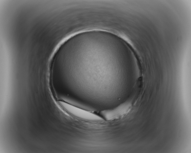 X0000086771508200704271740