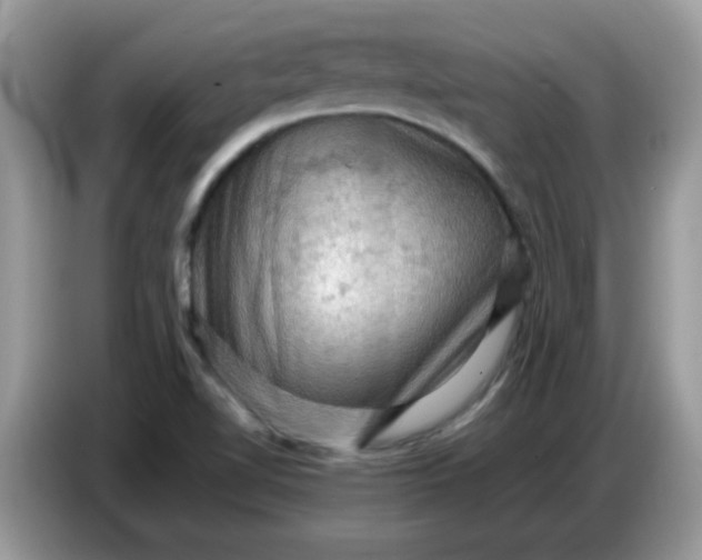 X0000086771510200704271740